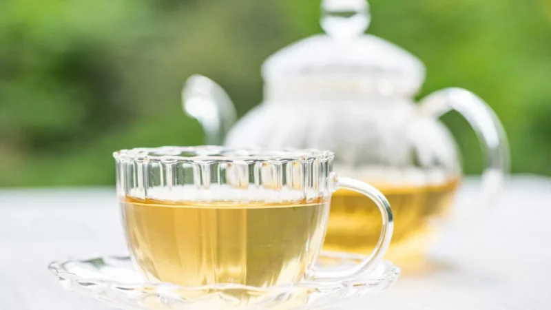 Chá de Erva Baleeira: Descubra seus Benefícios e se Realmente Contribui para o Emagrecimento